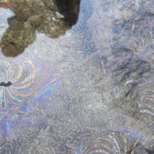 Bright Ecologies. Caretto/Spagna: experiences, forms, materials. Ediz. italiana e inglese