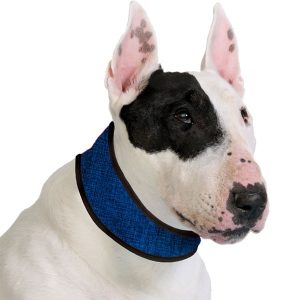 ACK Collare Refrigerante Blu per Cani Taglia M