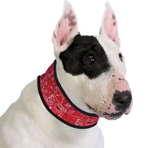 ACK Collare Refrigerante Red Western per Cani Taglia S