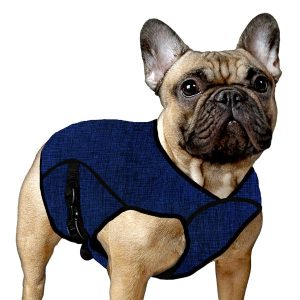 ACK Giacca Refrigerante Blu per Cani Taglia L