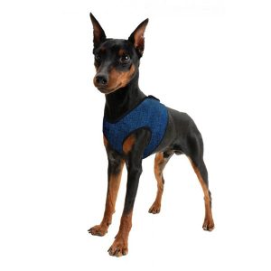 ACK Pettorina Refrigerante Blu per Cani Taglia XS