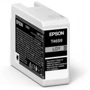 Epson Ultrachrome Pro Cartuccia D'inchiostro 1 Pz Originale Grigio Chiaro