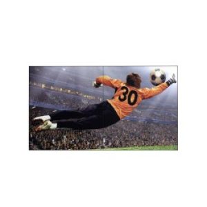 Lg 49vl5g-m Interno