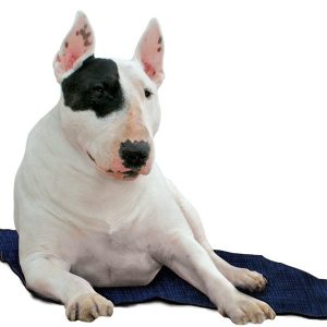 Tappetino Refrigerante Blu per Cani Misura XXL
