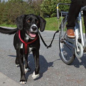 Trixie Biker Set per Cani Taglia Grande Colore Argento