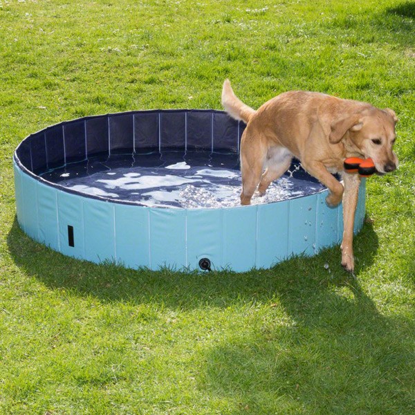 Trixie Piscina per Cani Misura M