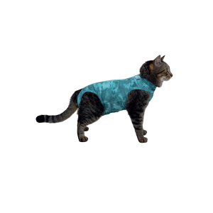 Farm Company Tutina Post Operatoria Gatto – 32 cm