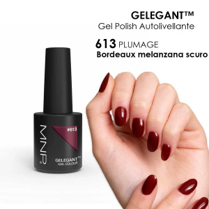MNP MESAUDA GELEGANT Smalto in gel 8ml 613 Plumage