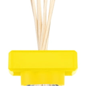 ipuro Essentials Lively Rome diffusore di aromi 100 ml