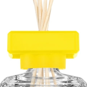 ipuro Essentials Lively Rome diffusore di aromi 50 ml