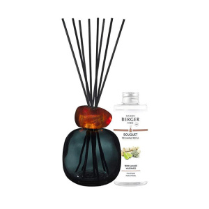Maison berger paris Set regalo diffusore di aromi Mineral Black + ricarica Wilderness 180 ml