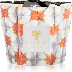 Baobab Collection Odyssée Calypso candela profumata 10 cm