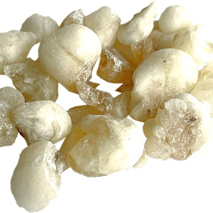 Jungle Way Oman Hojari White Royal incenso 20 g