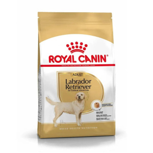 Royal Cane Labrador Adult al Pollo per Cani – 12 Kg