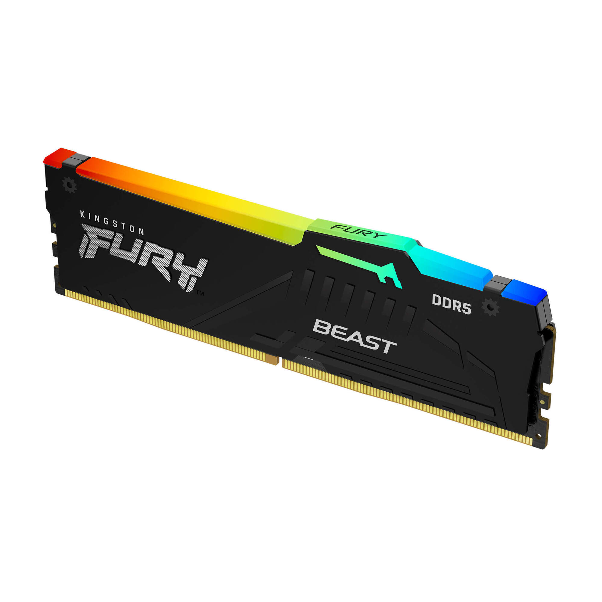 Kingston Fury? Beast RGB DDR5 - 8 GB (1 x 8 GB) - 6000 MT/s C40 - Intel XMP 3.0 - Nero - nuovo