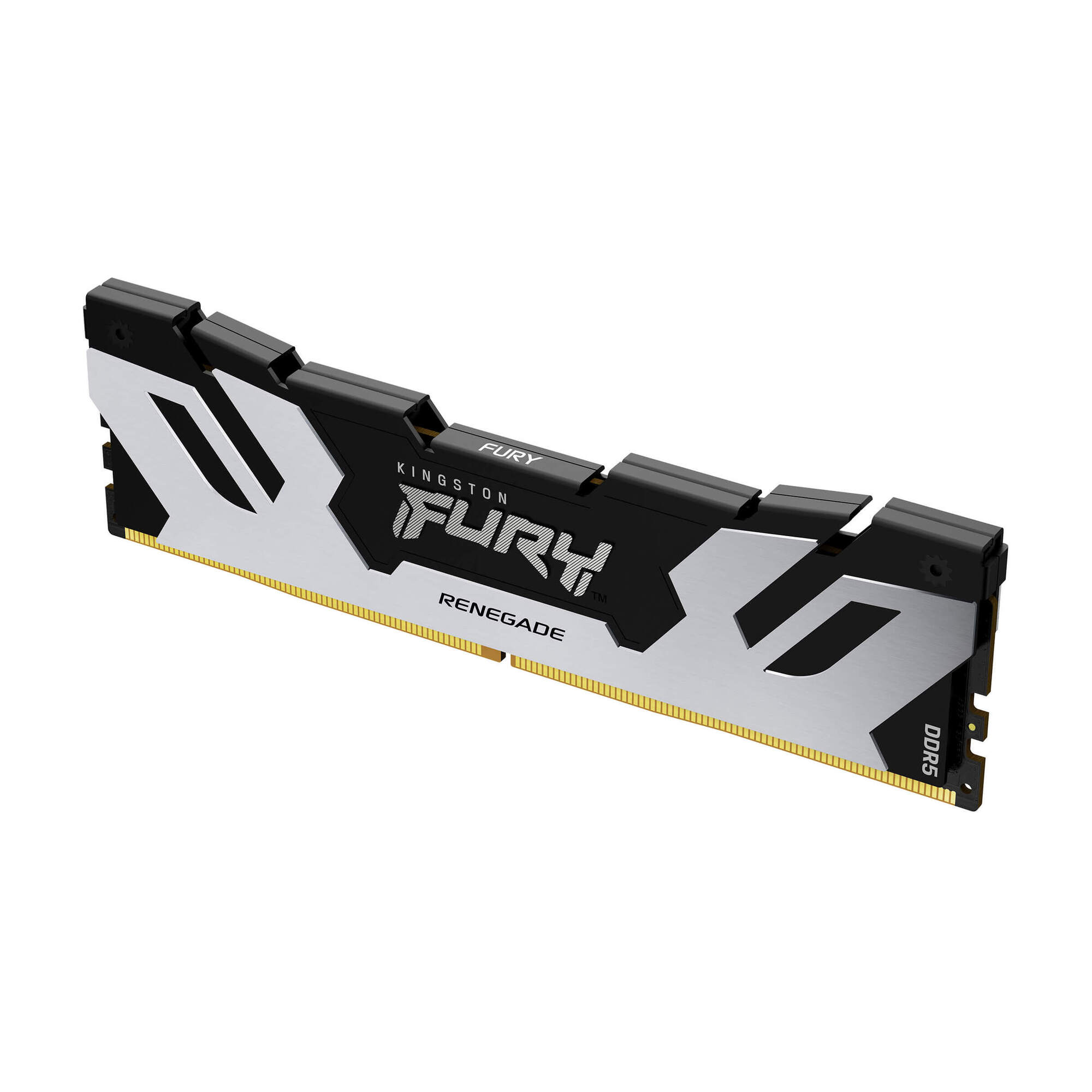 Kingston Fury? Renegade DDR5 - 16 GB (1 x 16 GB) - 6400 MT/s C32 - Intel XMP 3.0 - Argento - nuovo