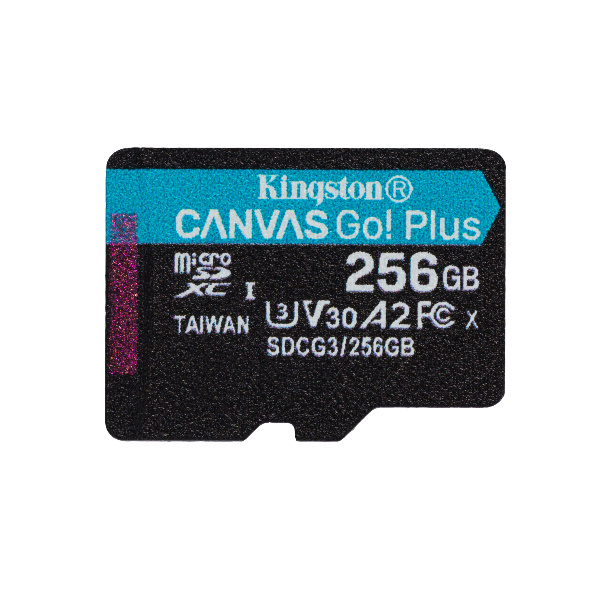 Kingston Technology 256GB microSDXC Canvas Go Plus 170R A2 U3 V30 senza ADP - nuovo