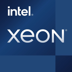 Processore Intel Xeon ® ® E-2336 (12 MB di cache, 2,90 GHz) – nuovo