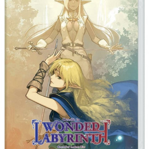 Record Of Lodoss War : Deedlit In Wonder Labyrinth Nintendo SWITCH – nuovo