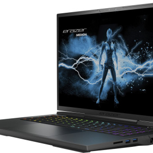 ERAZER Beast X40 i9-13900HX Notebook 43,2 cm (17 ) Quad HD+ Intel® Core? i9 32 GB DDR5-SDRAM 1,02 TB SSD NVIDIA GeForce RTX 4080 Wi-Fi 6 (802.11ax) Windows 11 Home Nero – nuovo