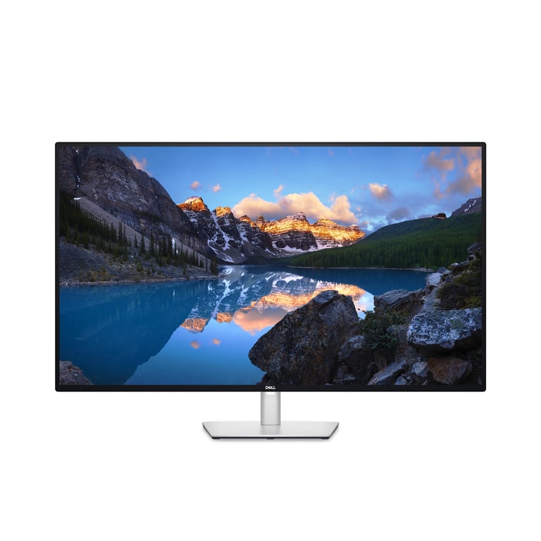 DELL UltraSharp U4323QE Display LED 109,2 cm (43 ) 3840 x 2160 pixel 4K Ultra HD LCD Argento - nuovo