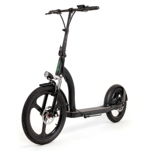 Youin SC5000 scooter elettrico 25 km/h Nero 10 Ah – nuovo