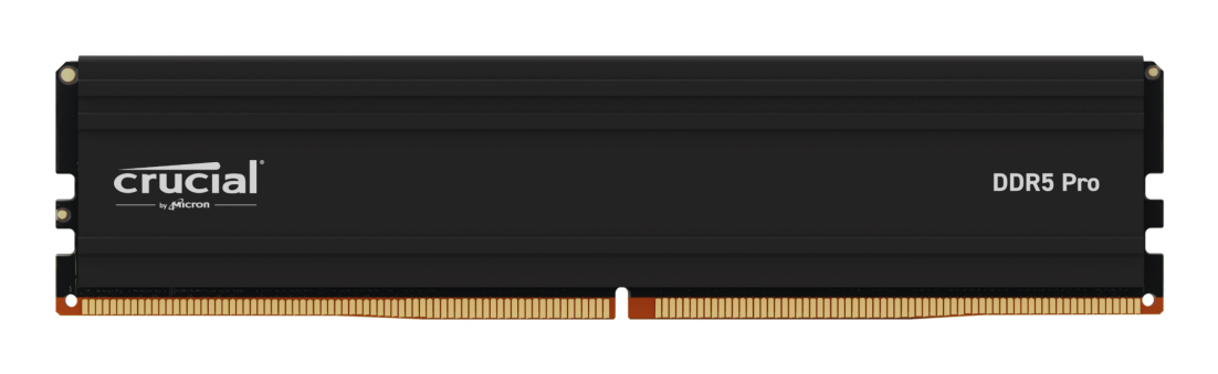 Modulo di memoria Crucial Pro 32 GB 1 x 32 GB DDR5 5600 MHz - nuovo