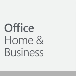 Microsoft office home and business 2024 box