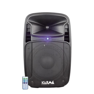 Cassa audio diffusore amplificato tiger 10a 170 watt