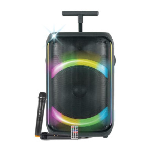 Cassa audio diffusore amplificato auralis con radiomicrofono – woofer 12