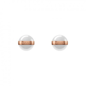 Orecchini Daniel Wellington Donna Aspiration DW00400152
