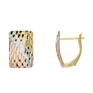 Orecchini Donna Oro Bianco Giallo Rosa GL102256