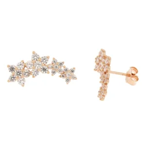 Orecchini Donna Argento COR28