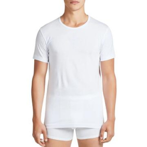 MAGLIA UOMO GIROCOLLO COTONE RAGNO 601417 (x2)