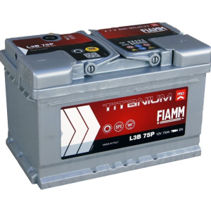 Batteria FIAMM 7905156