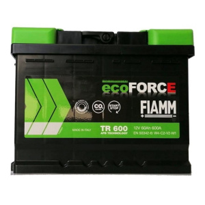 Batteria FIAMM 7906488
