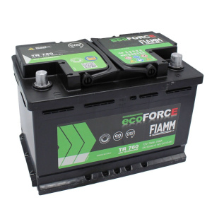 Batteria FIAMM 7907330