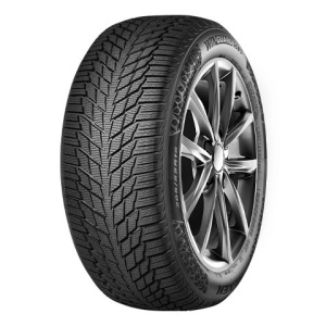 Nexen Winguard Ice 3 205/55 R16 91T Pneumatici