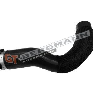 Flessibile aria alimentazione GT-BERGMANN GT52-858