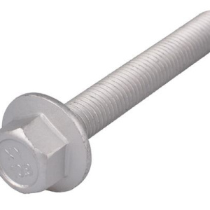 Bullone / Vite TEDGUM TED28925