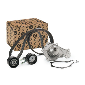 Kit cinghia distribuzione, pompa acqua CITROEN/PEUGEOT 1609120380