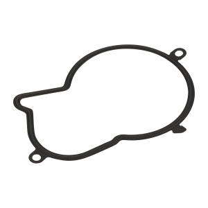 Guarnizione, Pompa iniezione CITROEN/PEUGEOT 9674994180