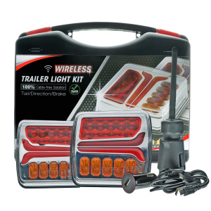 Kit fanalino posteriore EINPARTS EPWLD50