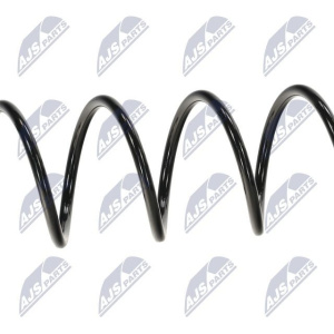 Molle ammortizzatori NTY ASZ-RE-039