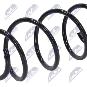 Molle ammortizzatori NTY ASZ-RE-038