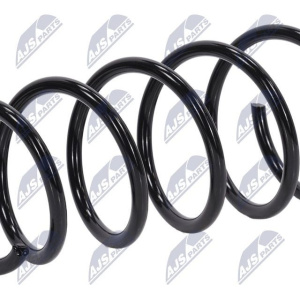 Molle ammortizzatori NTY ASZ-RE-037