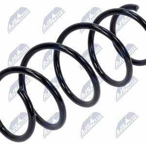 Molle ammortizzatori NTY ASZ-RE-031