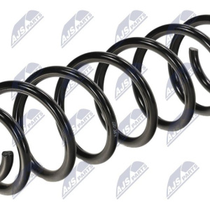 Molle ammortizzatori NTY ASZ-RE-027