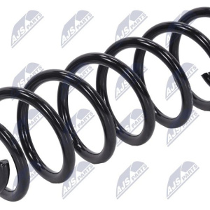 Molle ammortizzatori NTY ASZ-RE-026