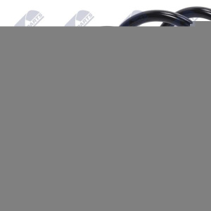 Molle ammortizzatori NTY ASZ-RE-023